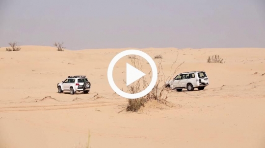 Driving in the desert