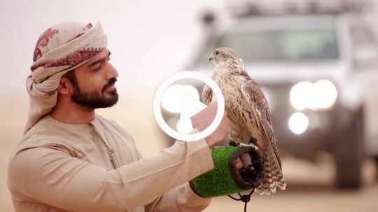 Young man caressing falcon