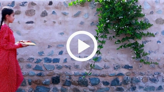 Girl walking with plate in the alleyway
