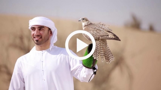 Young man carrying falcon with pride