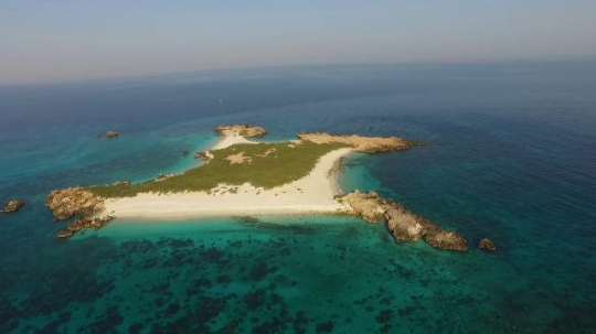 Dimaniyat Island, Oman