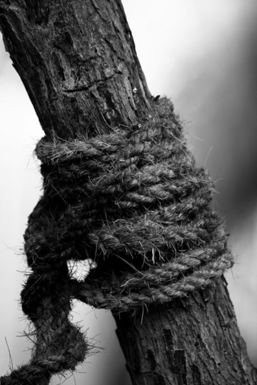 black and white close up of a rope