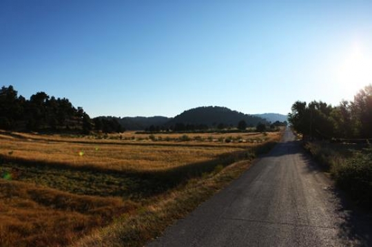 Country Road in Lebanon