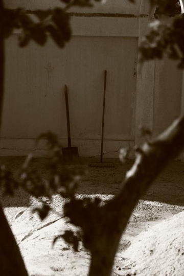 yard of an old traditional house