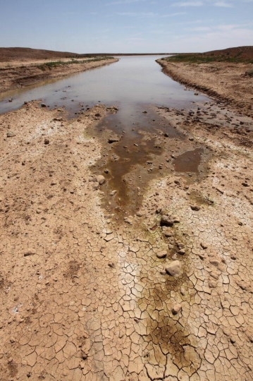 Eastern Badia Rain Water in Jo