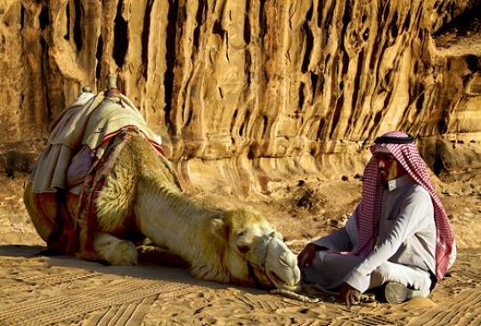 bedouin man with camel resting in a desert