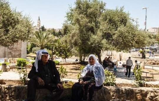 senior couple picnicking in the garden