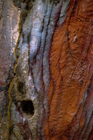 abstract colorful patterns in sandstone wall of petra