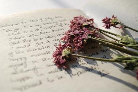 opened book with dried rose