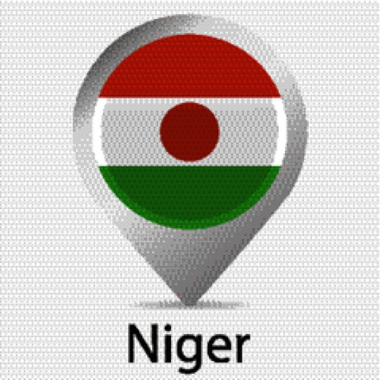 Niger flag