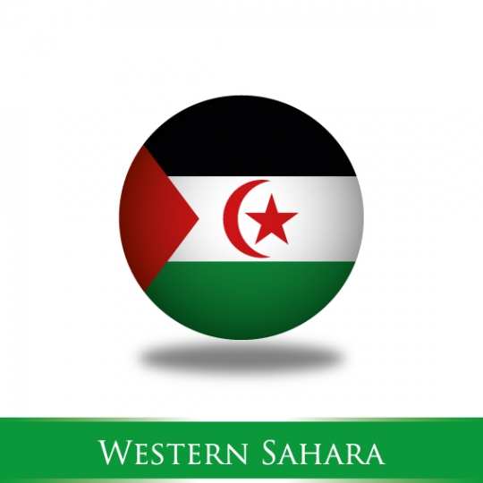flag of western sahara