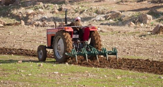 Jordanian Farmer