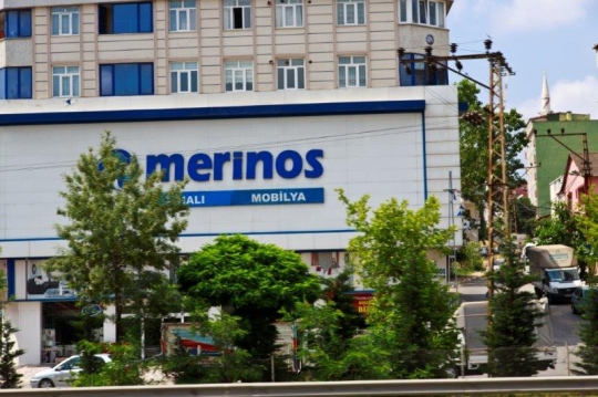 shop sign covered by trees