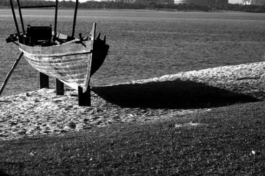 black and white boat by the shore