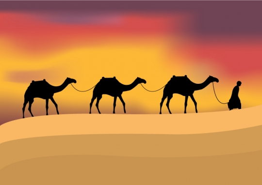 A silhoutte of camels and bedouin