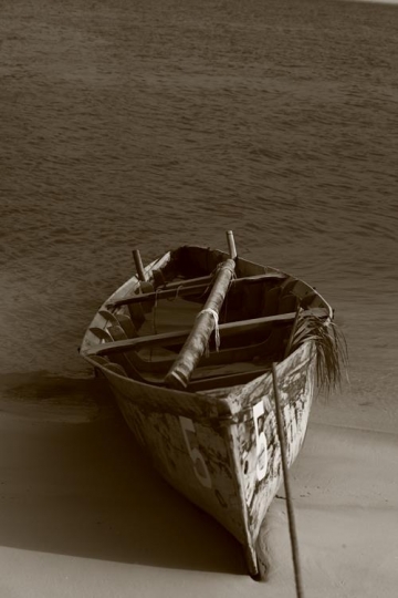 old simple boat tied to the shore 