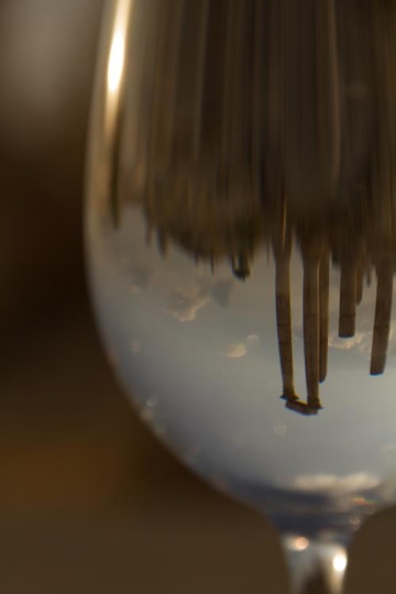 Reflection of Citadel on water glass