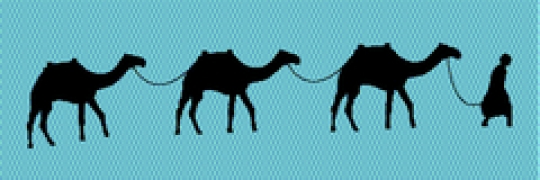 blue background of camels with an bedouin man