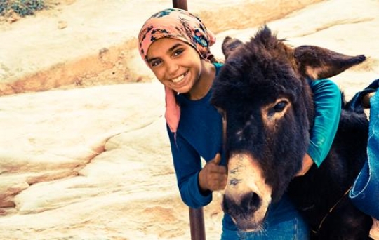 bedouin girl with donkey,petra in jordan