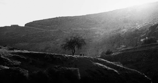 black and white image of iraq al amir,jordan