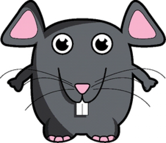 happy mouse