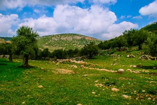 rasun,ajloun,jordan