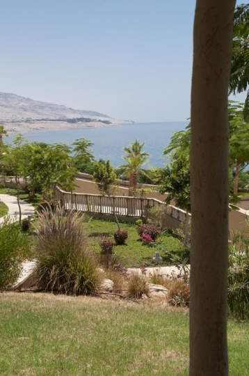 Dead Sea View