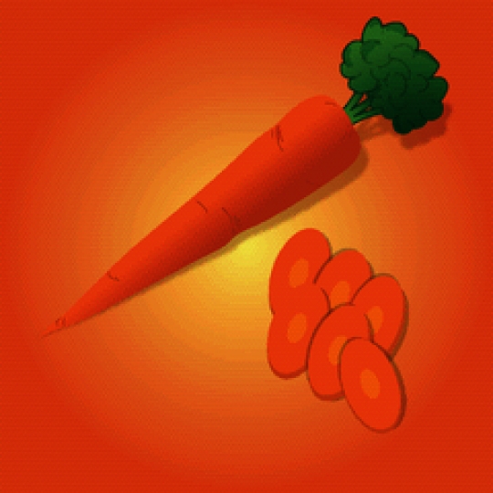 carrot