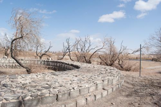 Azraq Wetland Reserve