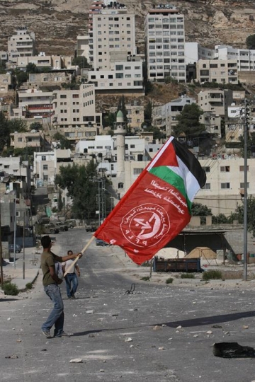 Palestinian resistance