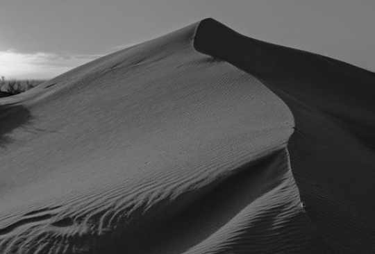 black and white image of sand dune in wadi rum,Jordan