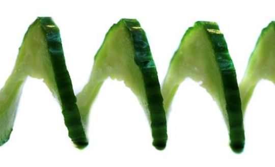 Spiral Cucumber