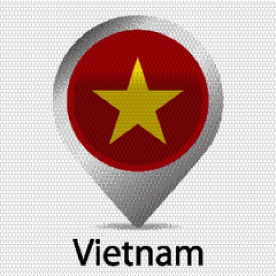 Vietnam Flag