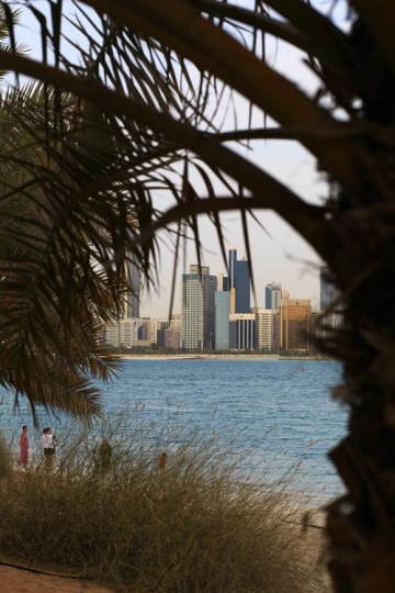 city view through tree branche