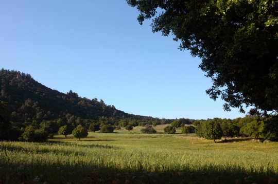 Nature in Dibeen the Spring Season