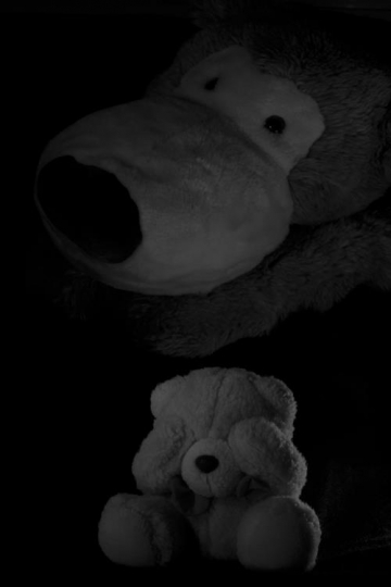 two teddy bears black and white