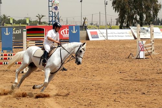 riding white horse in a competition