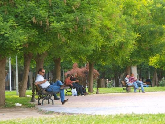 people sitting in a park