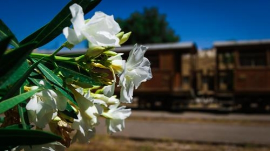hejaz railway station