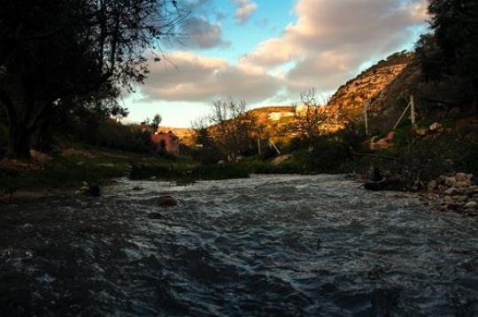 stream in iraq al amir,Jordan