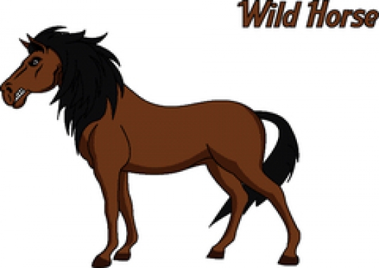 brown horse isolated on white background