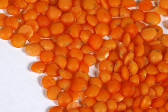 Lentils Grains