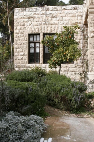 Beautiful Old Houses of Amman