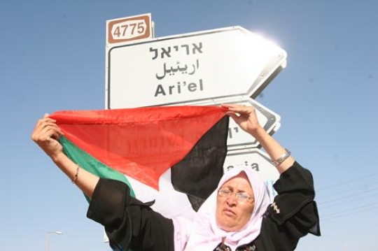 palestinian woman holding flag