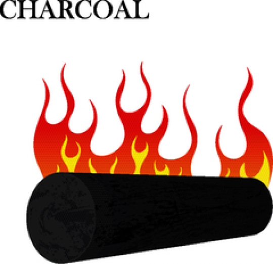 charcoal fire vector