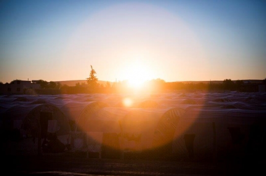 Sun Setting on Kobane Refugees Camp