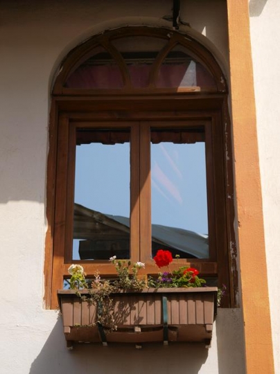 home window with plants pot