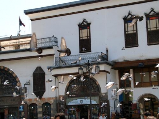 pigeons flying in front of a h