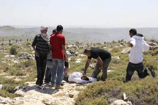 palestinian youth with martyr