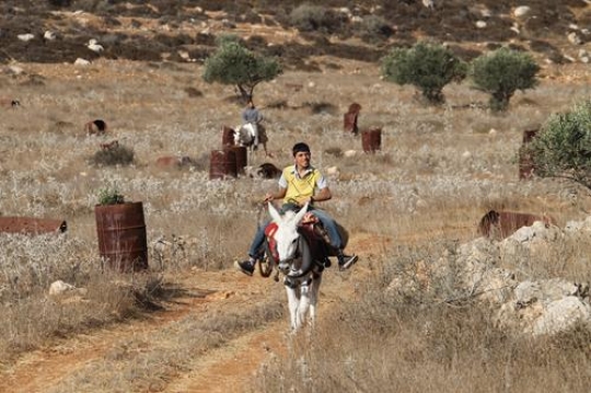 boy riding on donkey